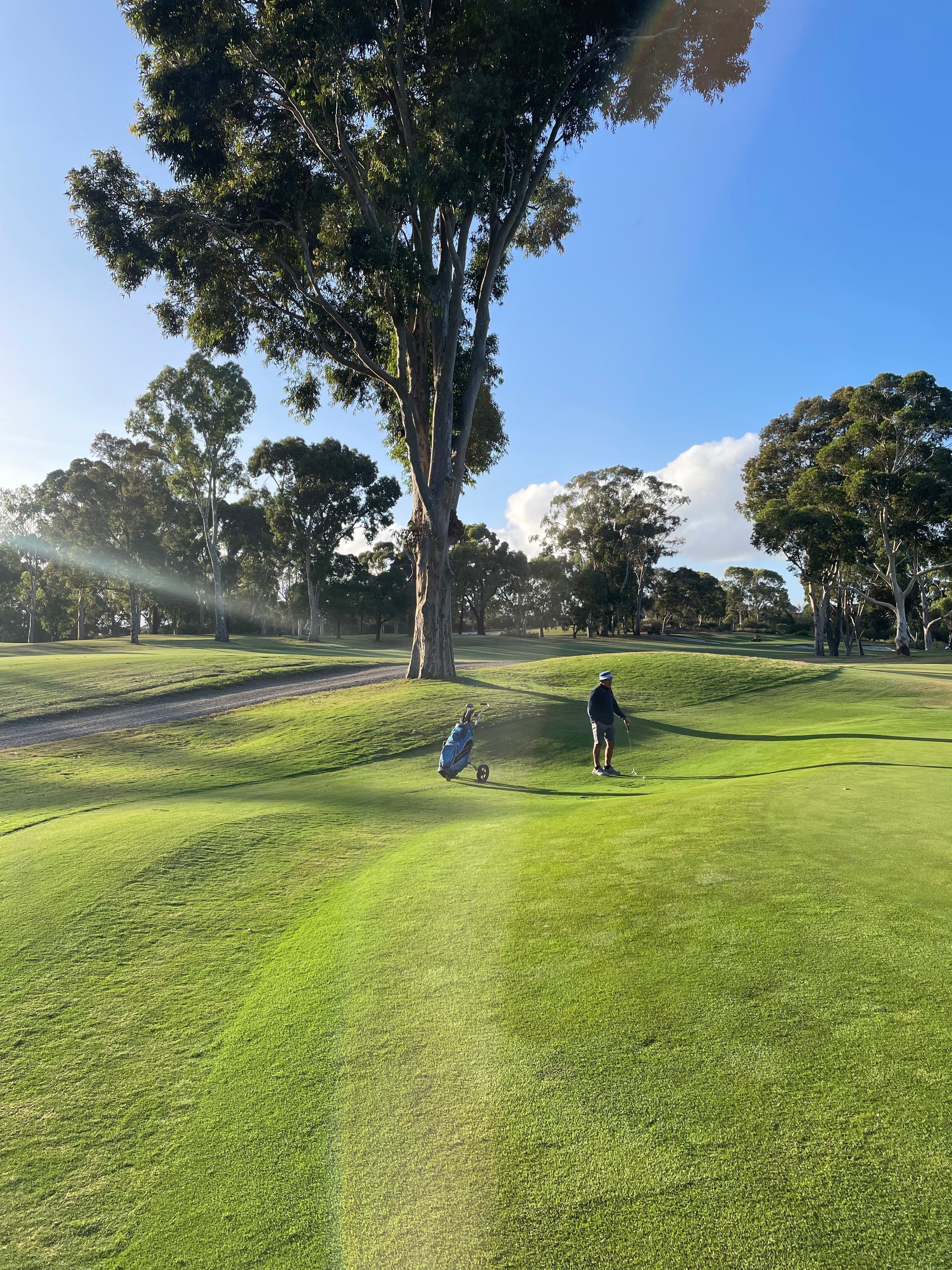 The Bunker Ball Golf Wrap Up, February 2026 Edition